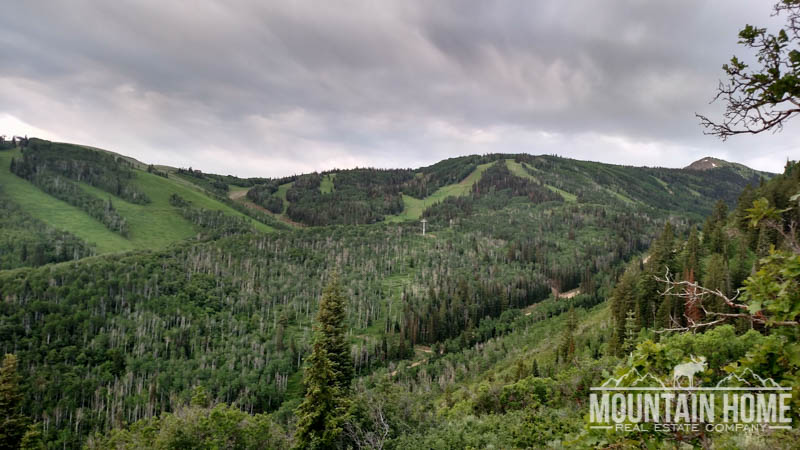 Rooster Ride - Armstrong Trail