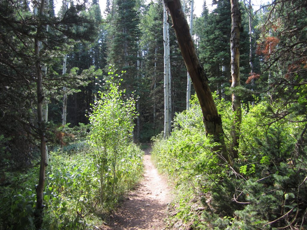 Mid Mountain Trail | Park City Mountain Biking